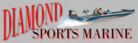 Go to DSM Web Site